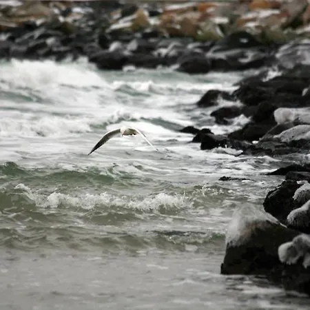 Apartman Kurpark-oase